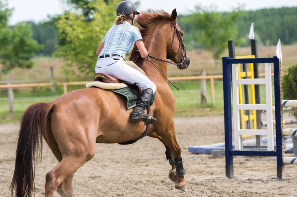 Horse jumping show