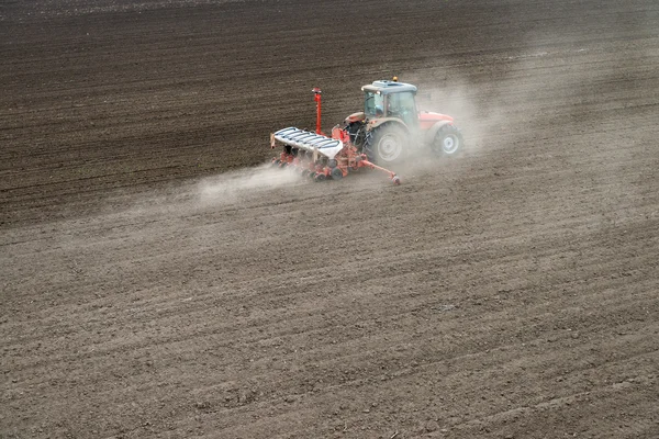 Sowing crops at field