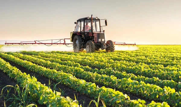 Tractor spraying soybean