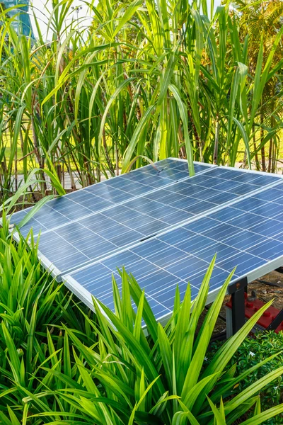 The panels of solar cell in a garden.