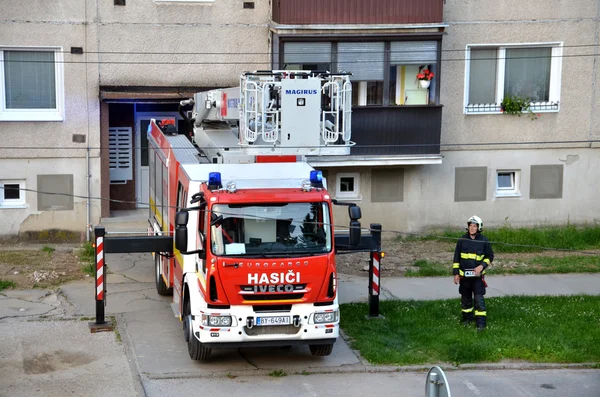 Firefighter stand near the fire truck in action, block of flats in background
