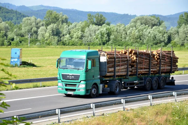 Green MAN truck fully laden by wood drives on slovak D1 highway surrounded by rural landscape.