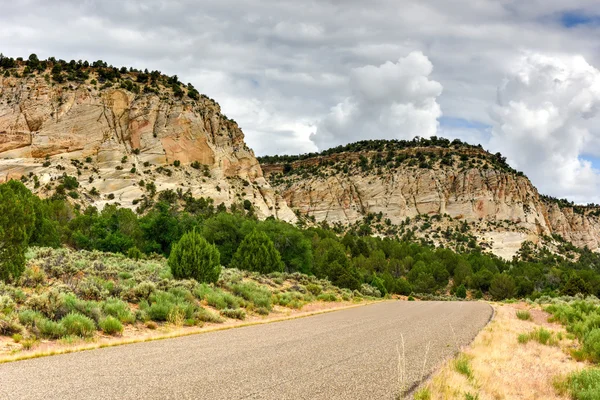 Johnson Canyon Road - Utah