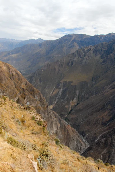 Colca Canyon, Peru Panorama