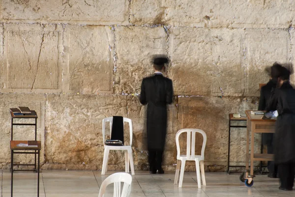 Traditional Hassidic Man Praying at the Western Wall