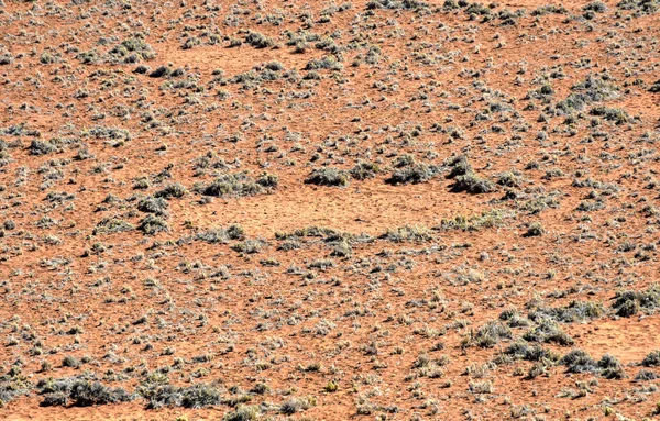 Fairy Circles - Namibia