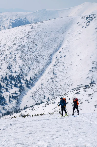 Cross country skiers in a winter mountains