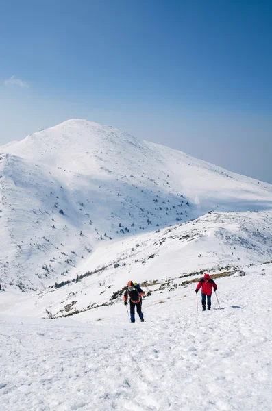 Tourist hike in a winter mountains