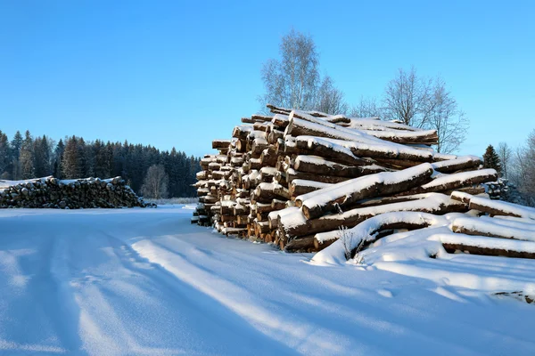 Harvesting timber logs in winter and snow-covered road