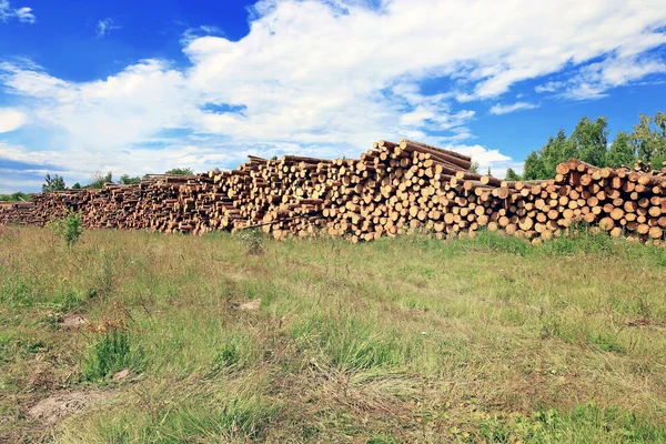 Logs in the logging