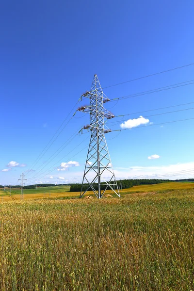 Mast electrical power line in a wheat field