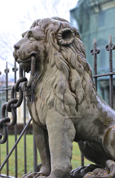 Statue of bronze lion