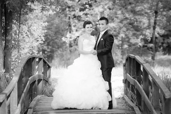 Bride and groom in nature black and white