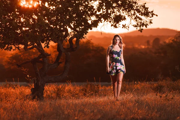 Beautiful young woman walks in the field at sunset