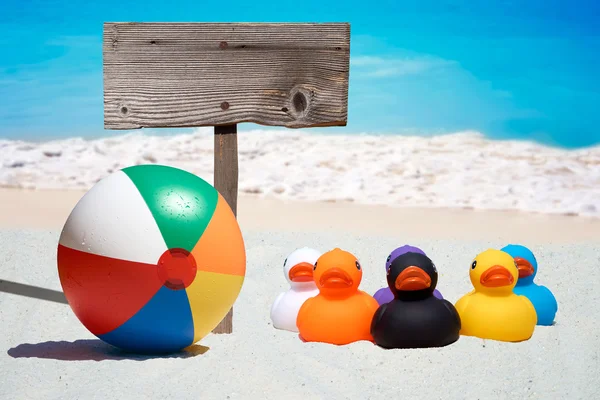 Six rubber ducks and wooden sign  on the beach