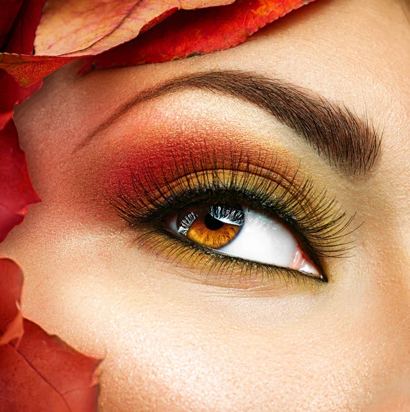 Autumn make up for brown eyes.