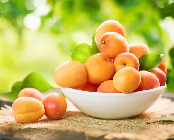 Ripe organic apricots in bowl