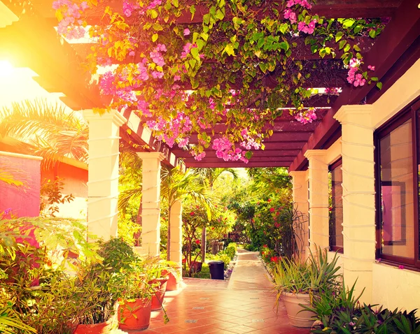 Landscaped terrace of a beautiful  house