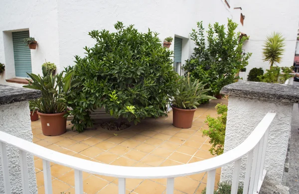 Flowers in pots on a balcony