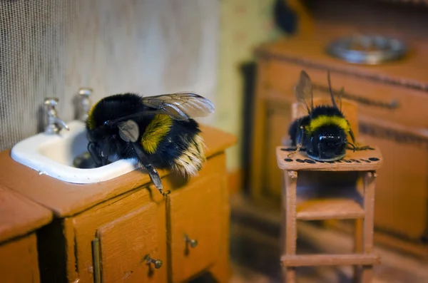 Scenes from the life of bumblebee family.