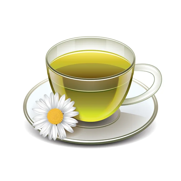Green tea cup with chamomile isolated - 图库矢