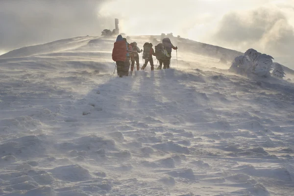 Group of hikers climbing in the snowy mountains