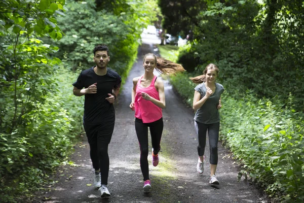 Friends running on forest trail