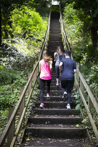 Friends out running on forest trail