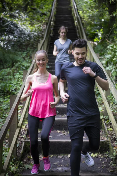 Friends out running on forest trail