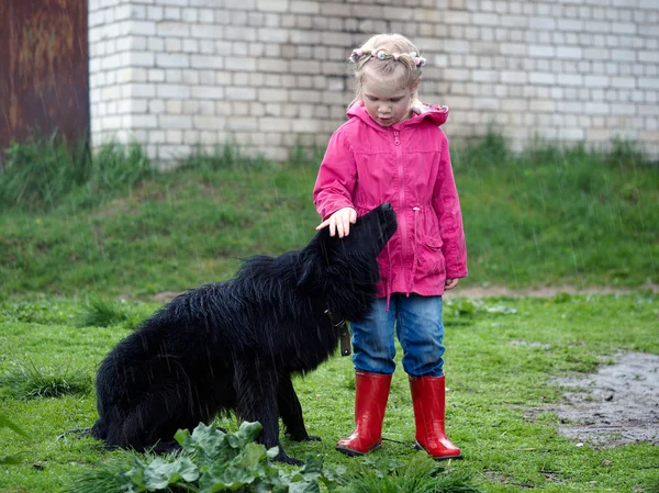 Little girl and big black dog in the rain