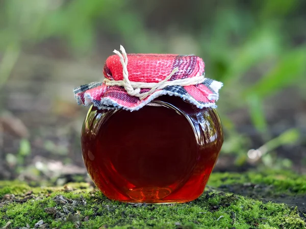 Red transparent syrup, jam or marmalade in a jar. Background nature, forest, moss