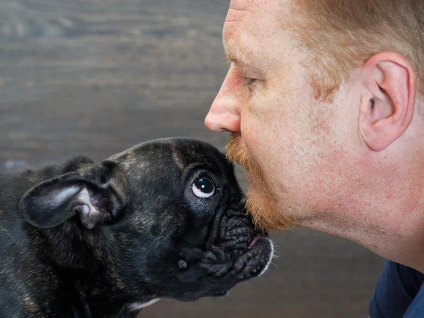 Muzzle dogs and the man\'s face in profile