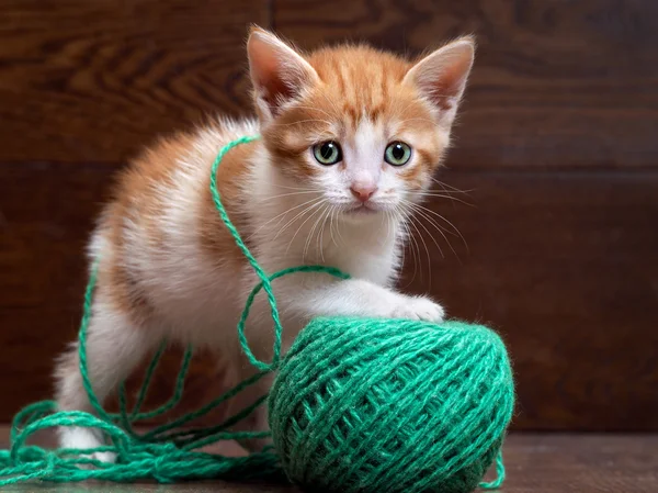 Little kitten playing with a large ball of green wool yarn