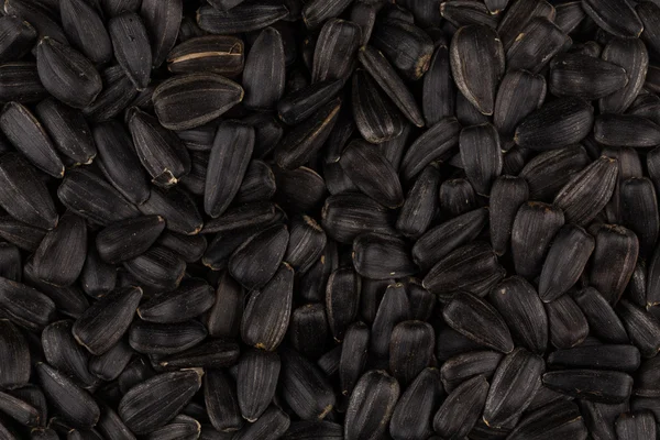 Heap of black sunflower seeds