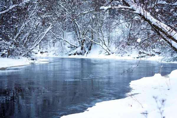 Winter forest river under the snow