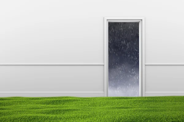 Green lawn on floor in room and the doorway with weather out door