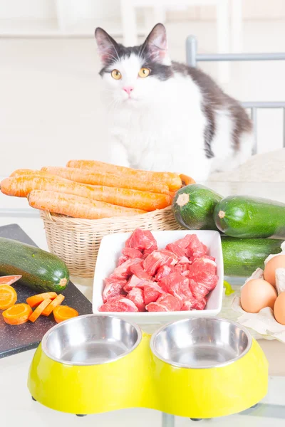 Preparing natural food for pets