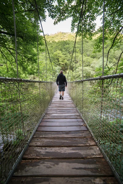 Man crossing a suspension bridge in the forest
