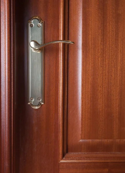 Detail of a door with handle