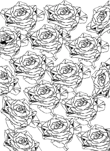 Graphic roses