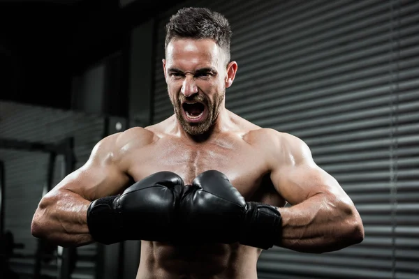 Angry shirtless man with boxe gloves shouting