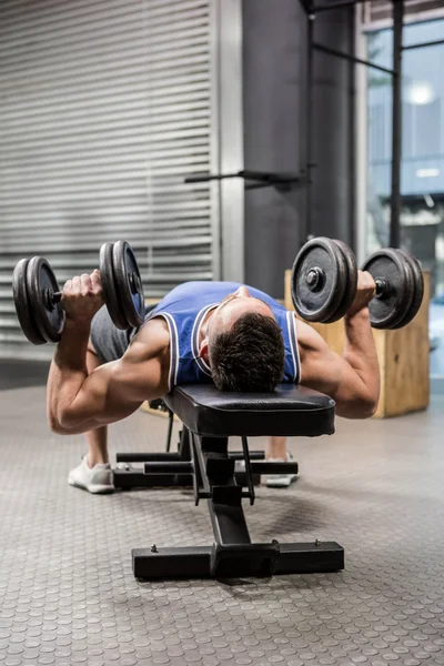 Muscular man on bench lifting dumbbells