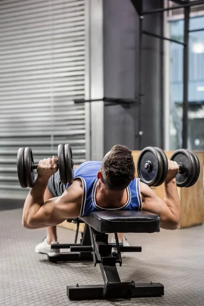 Muscular man on bench lifting dumbbells