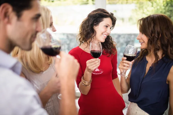 Group of friends having wine