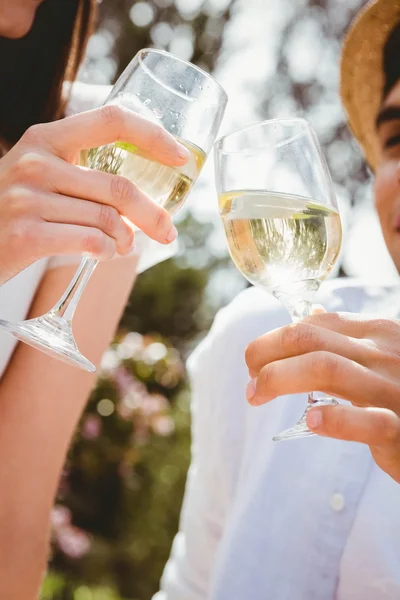 Young couple toasting a wine glass