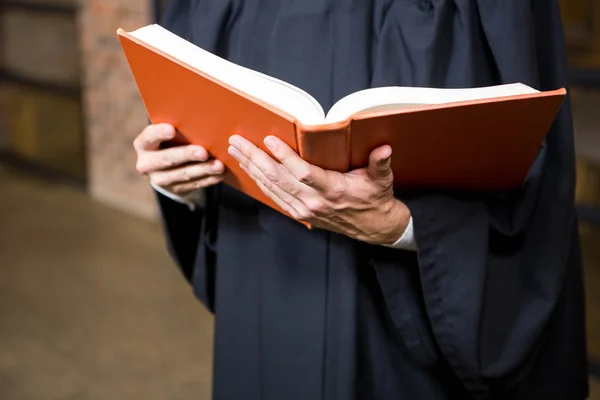 Lawyer holding a law book