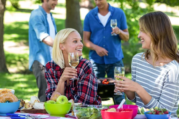 Friends having a picnic with wine and barbecue