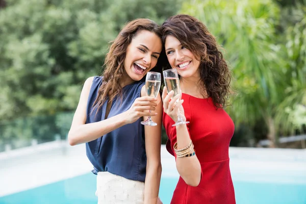 Female friends toasting champagne flutes