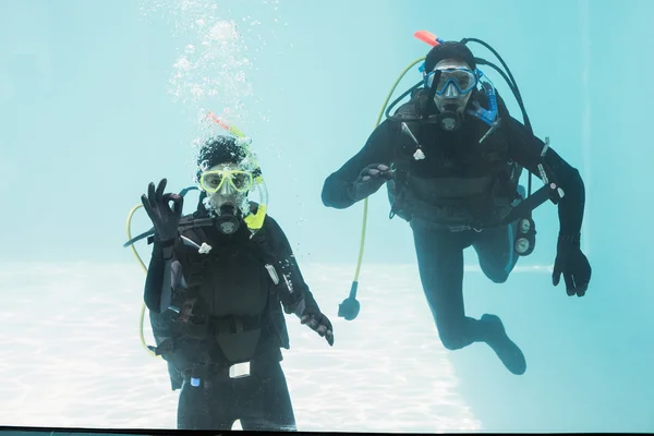 Couple practicing scuba diving together