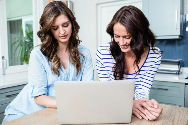 Female friends working on laptop